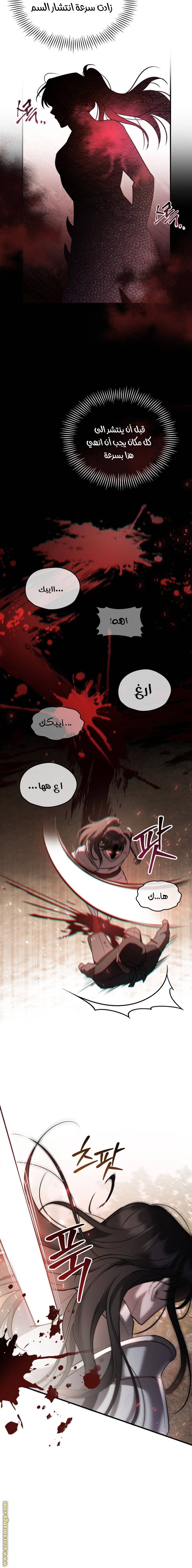 الصفحة 17