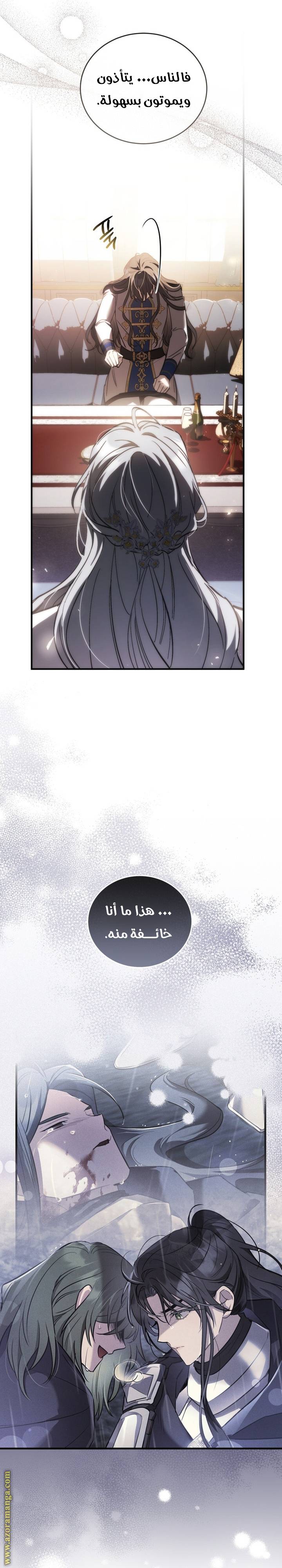 الصفحة 13