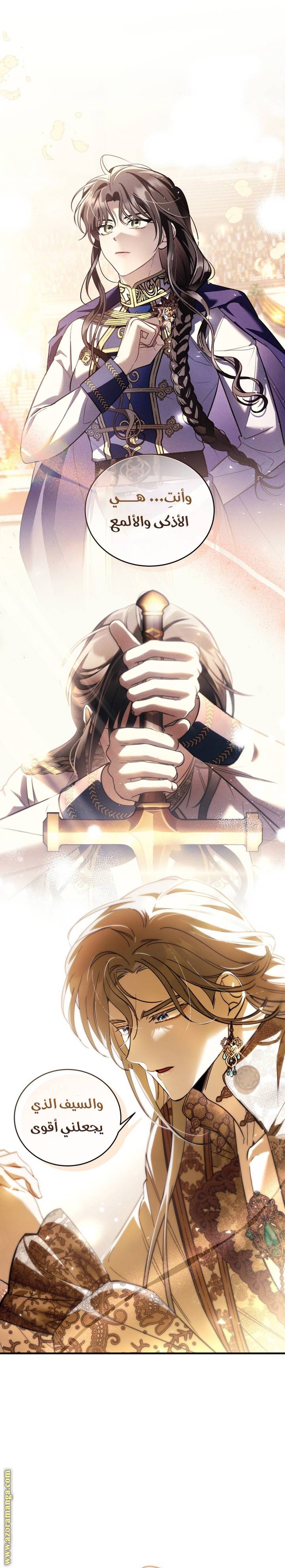 الصفحة 17