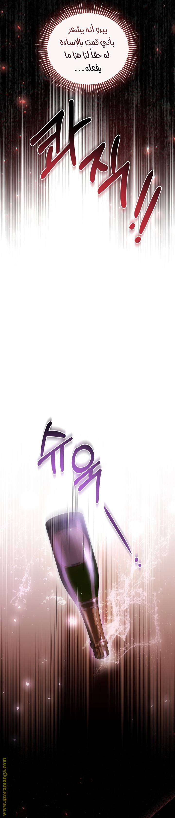 الصفحة 27