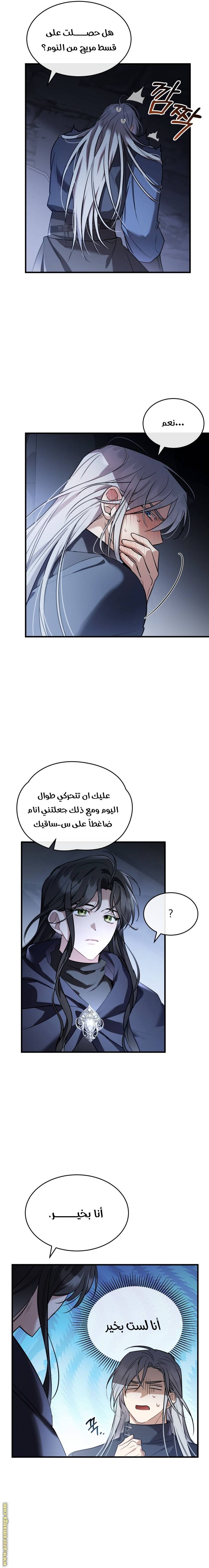 الصفحة 11
