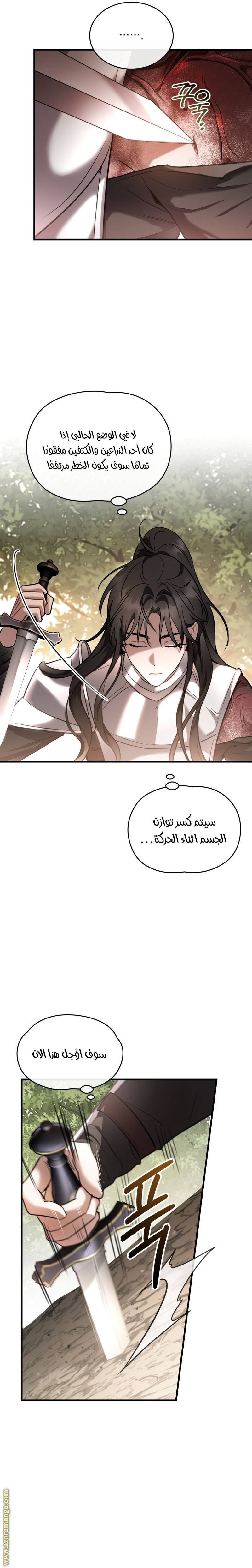 الصفحة 17
