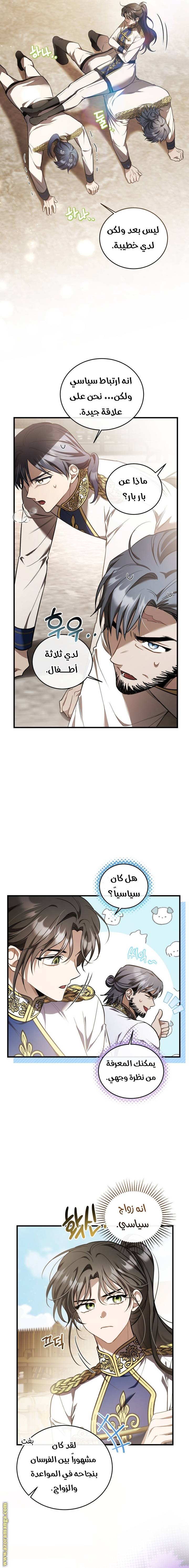 الصفحة 13