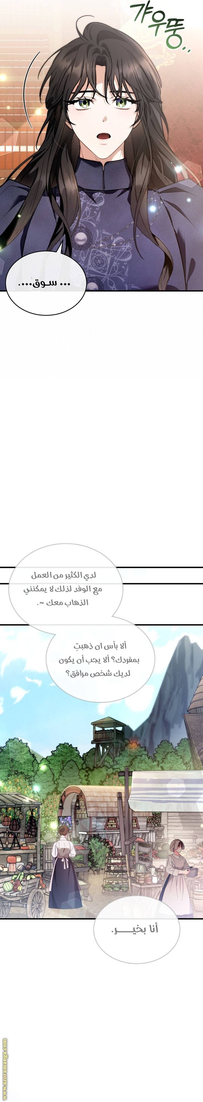 الصفحة 13
