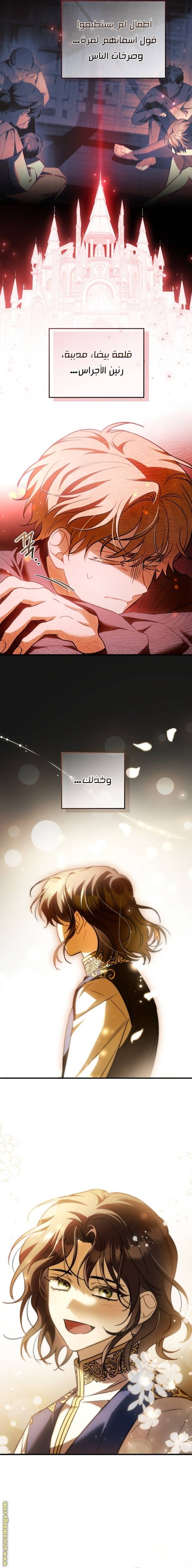 الصفحة 13
