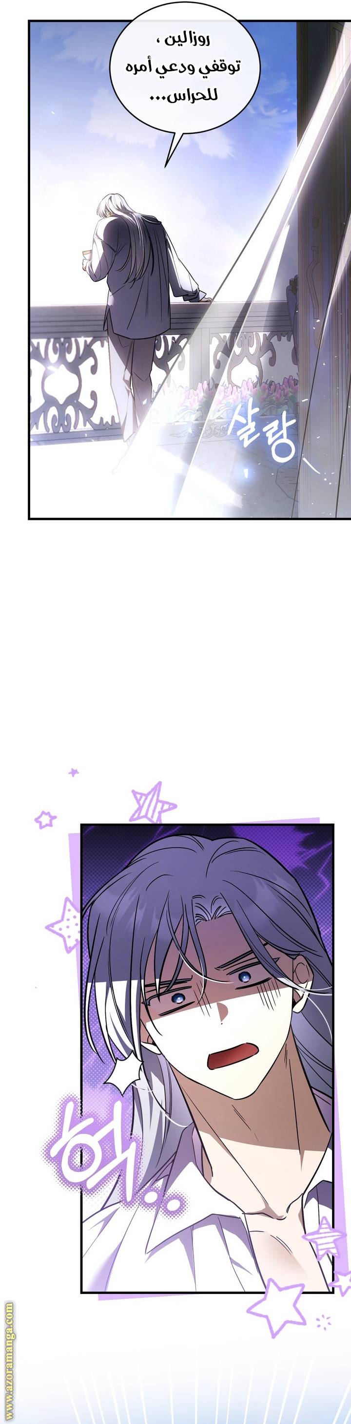 الصفحة 17