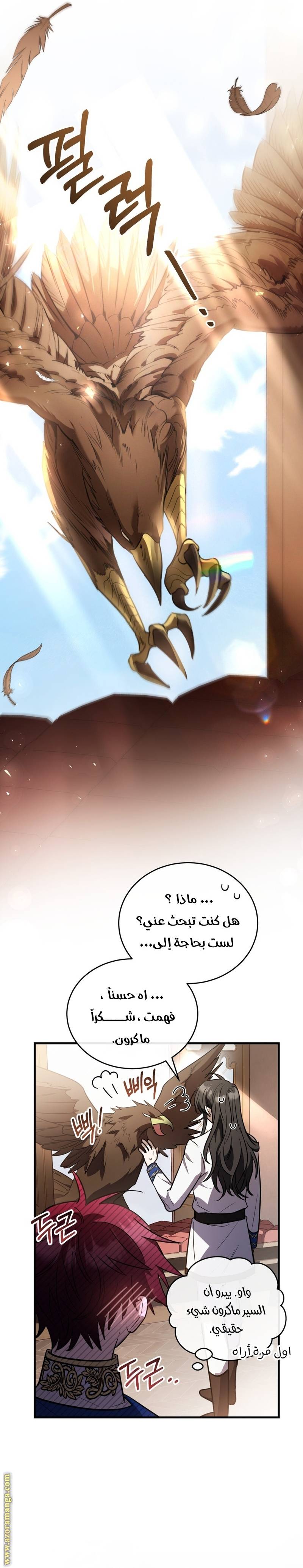 الصفحة 14