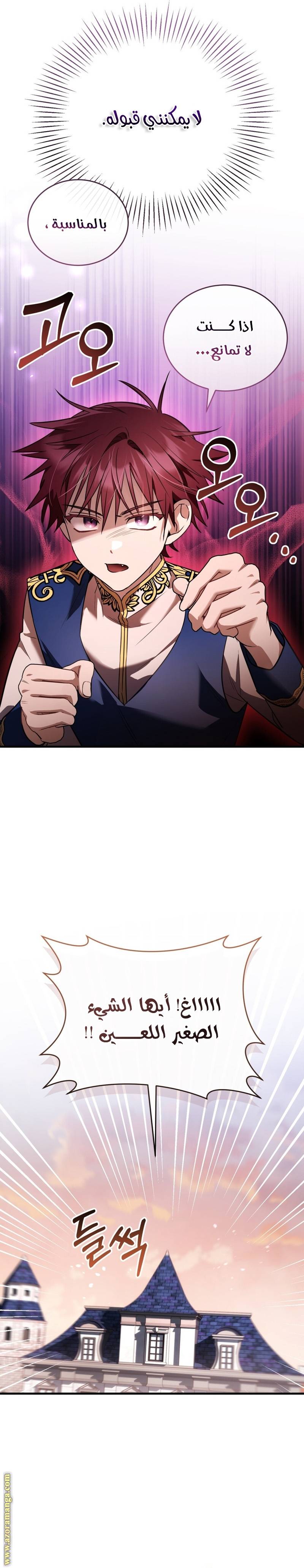 الصفحة 19