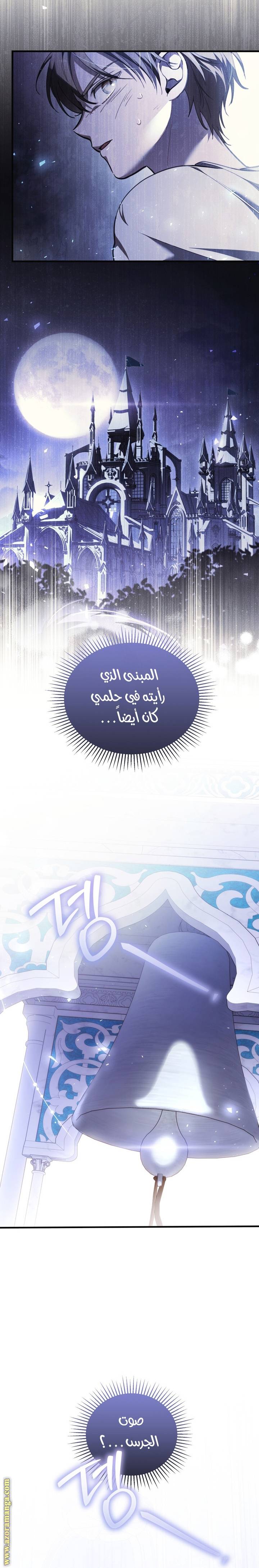 الصفحة 17