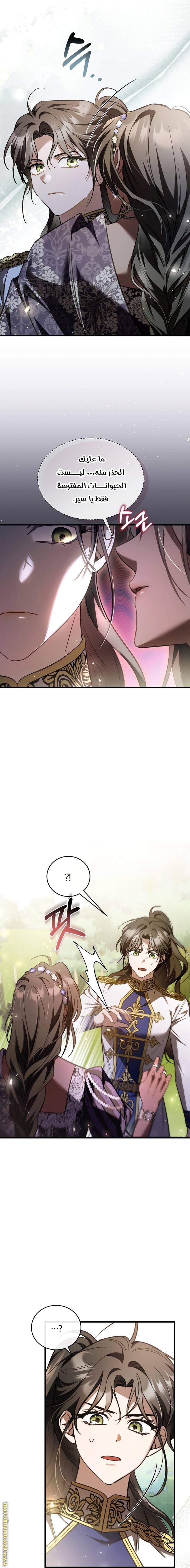 الصفحة 17
