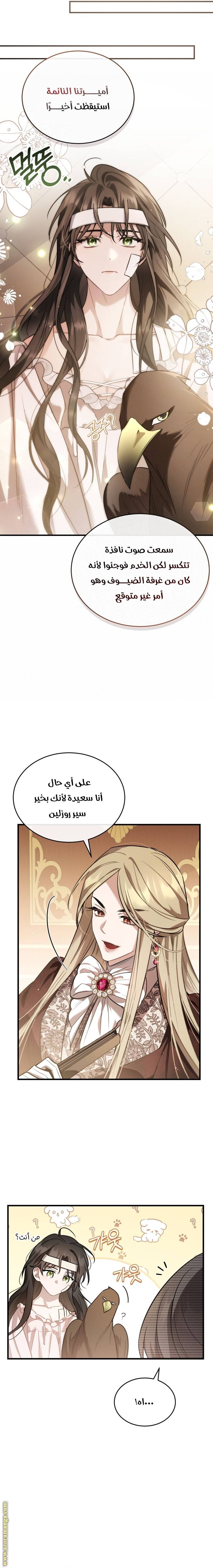 الصفحة 10