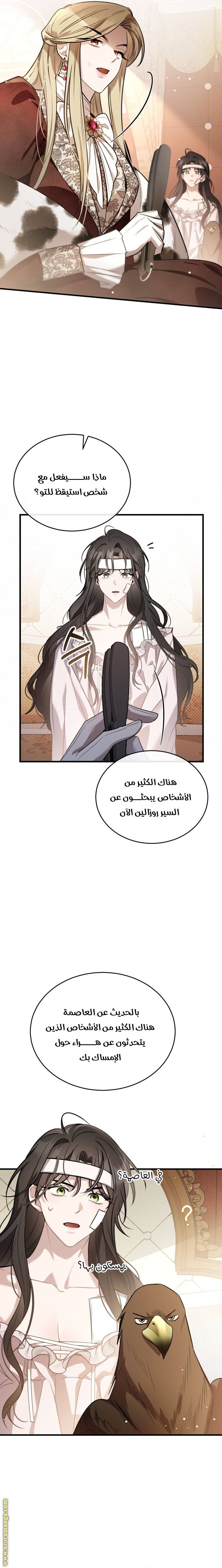 الصفحة 13