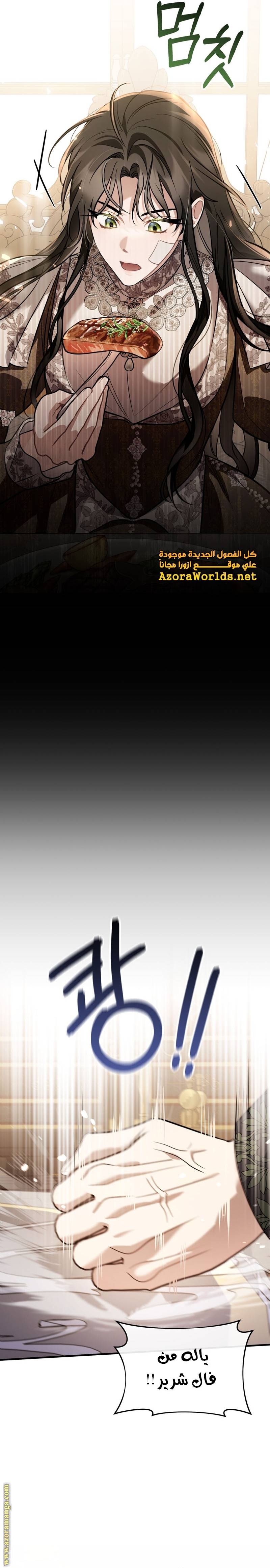 الصفحة 23