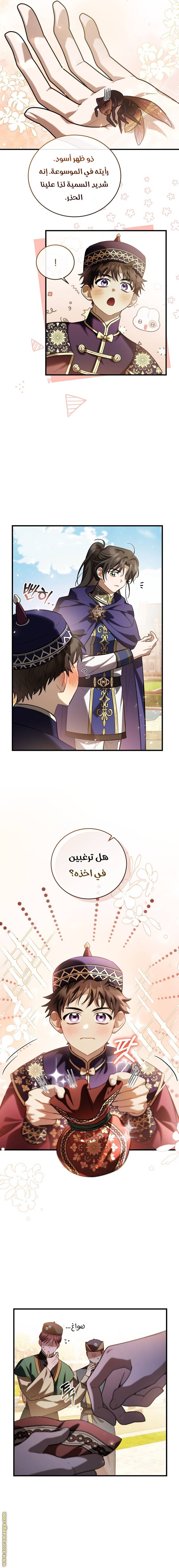 الصفحة 8