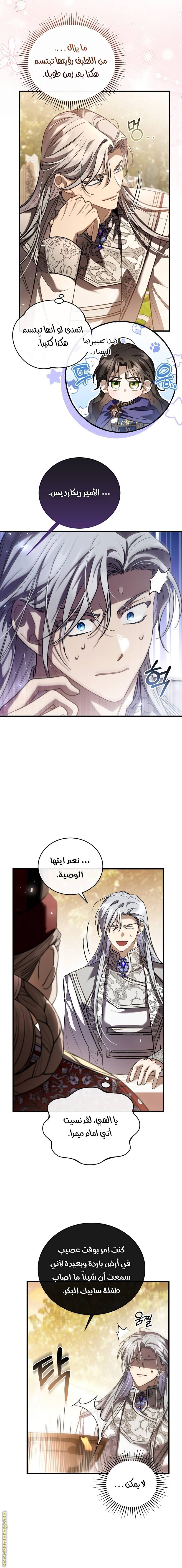 الصفحة 17