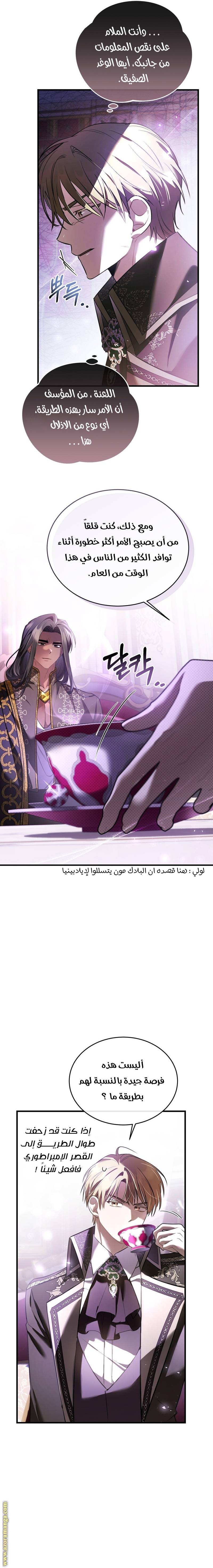الصفحة 13