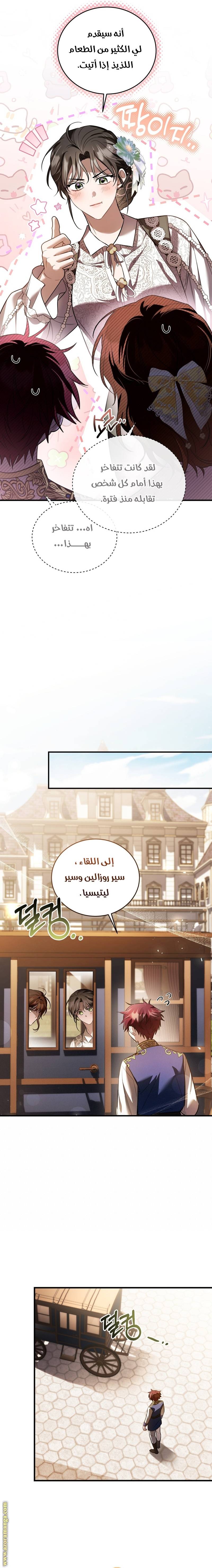 الصفحة 17