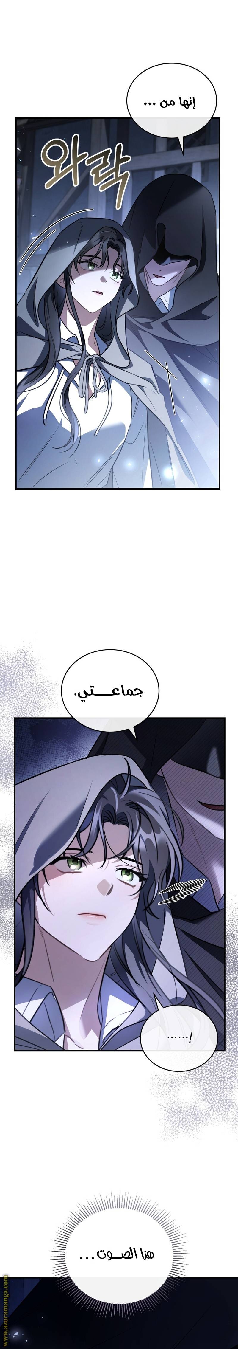الصفحة 21