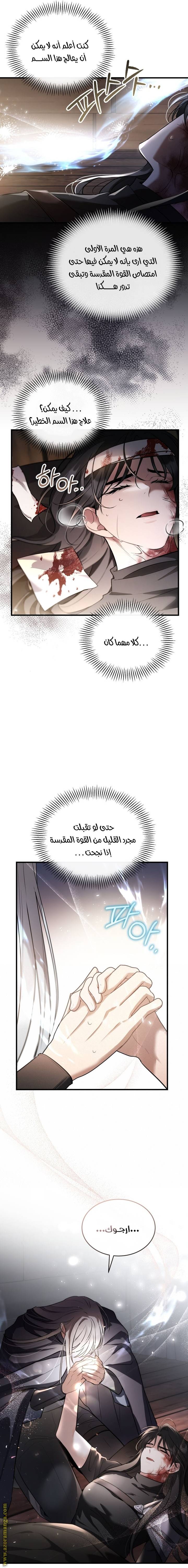 الصفحة 12