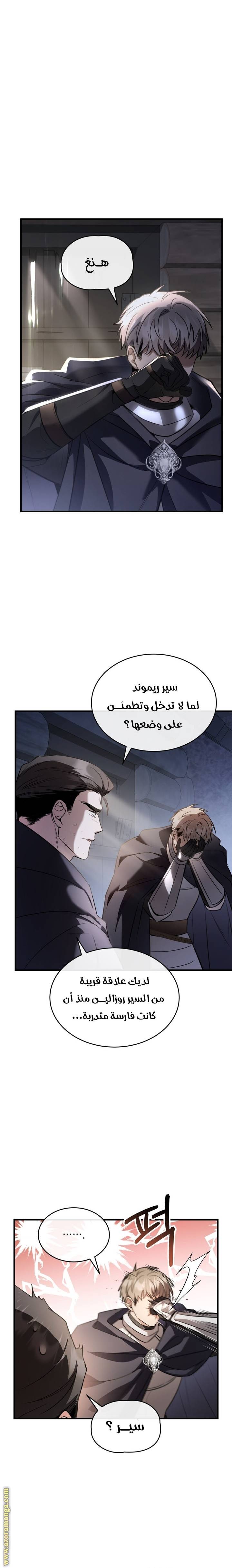 الصفحة 13