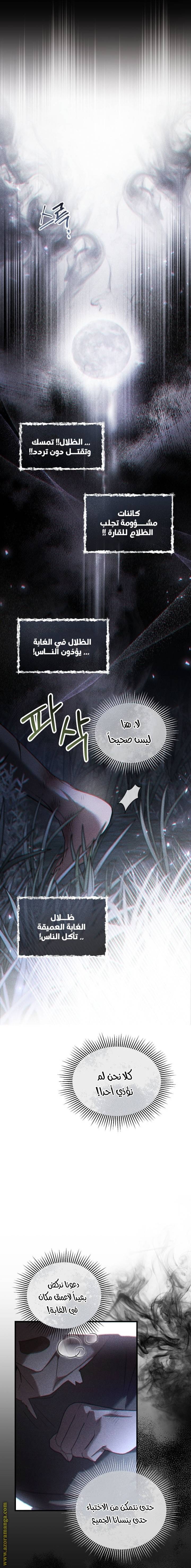 الصفحة 17