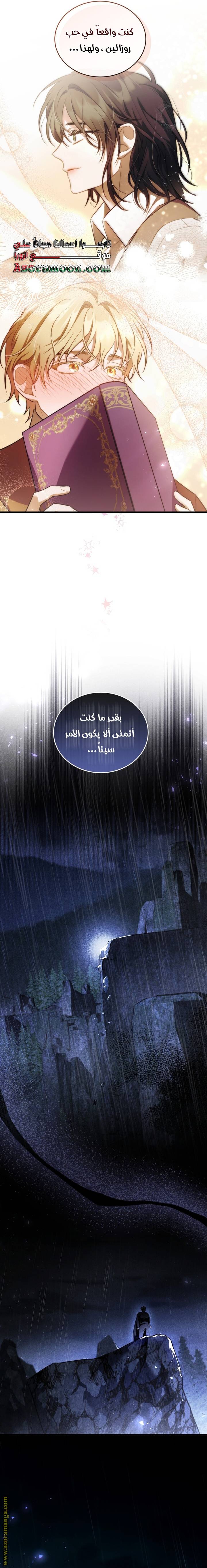 الصفحة 17