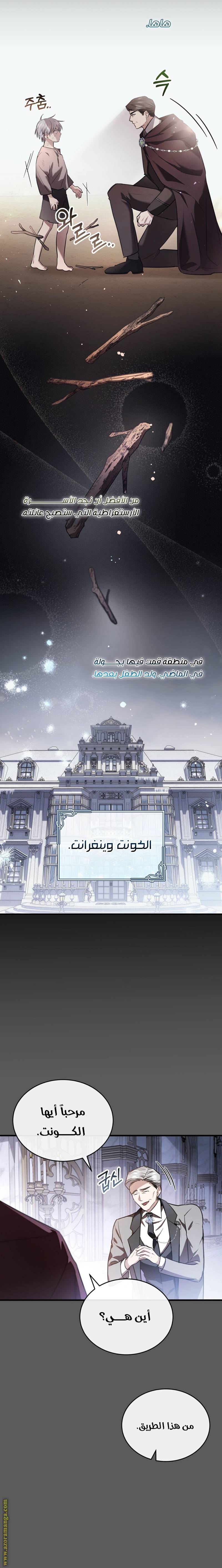 الصفحة 13