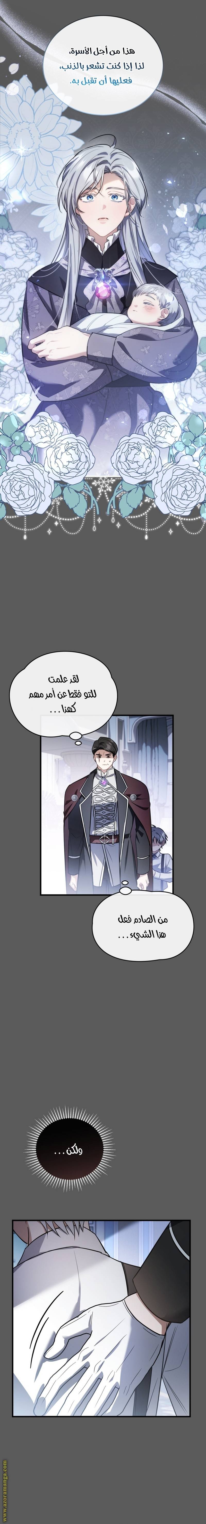 الصفحة 15