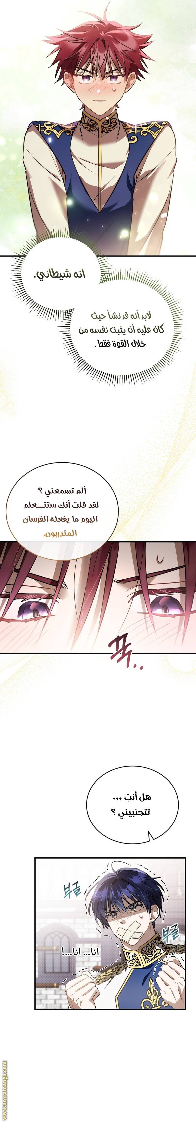 الصفحة 12