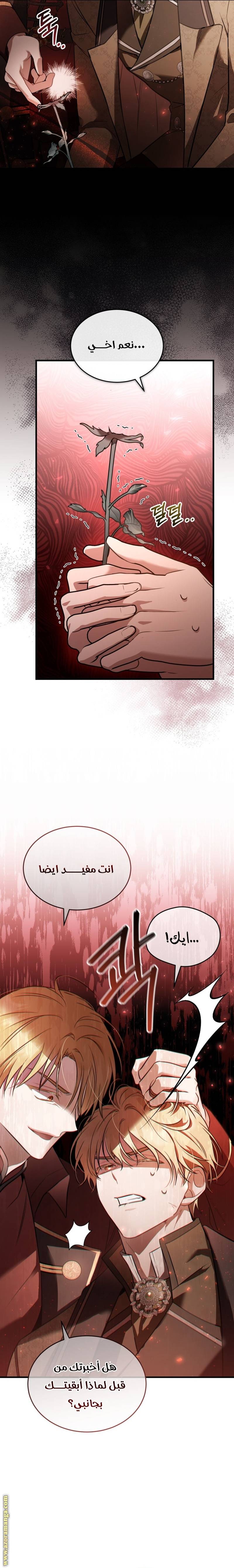 الصفحة 17