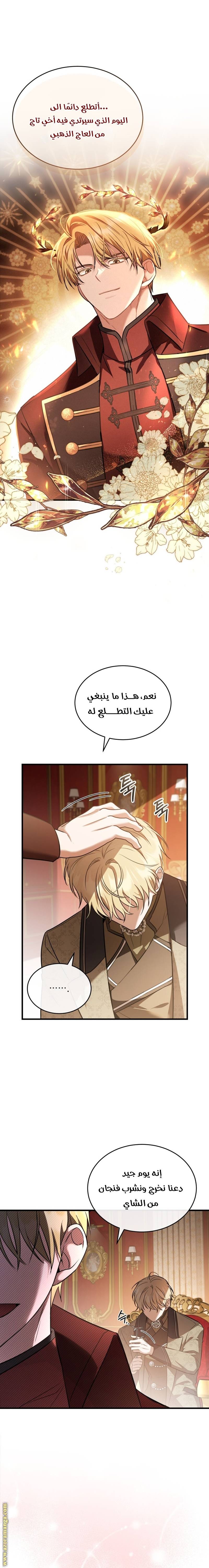 الصفحة 19