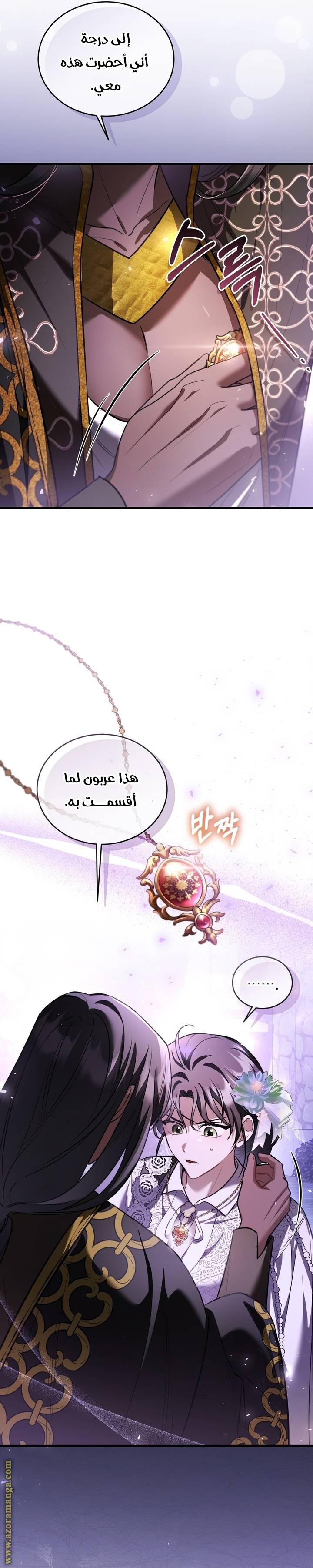 الصفحة 17