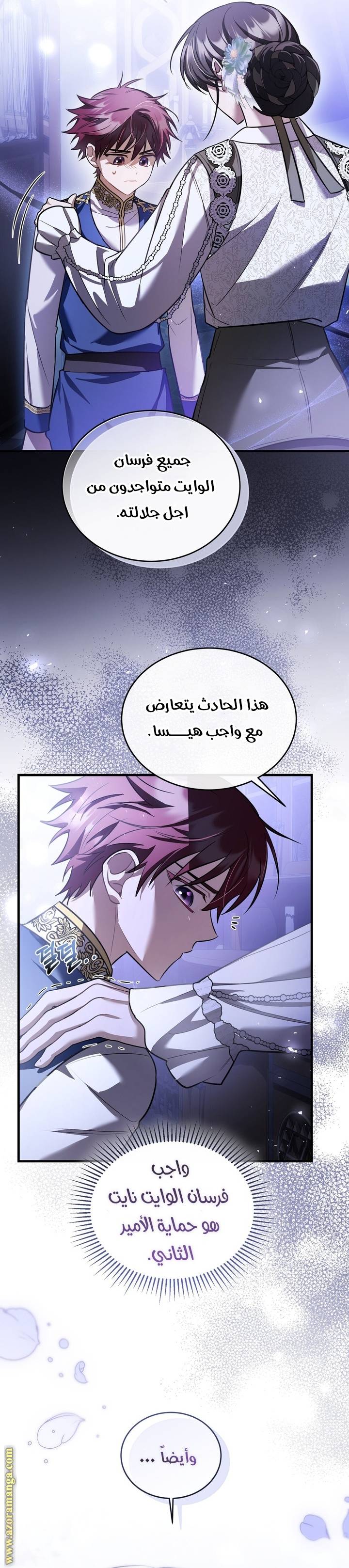الصفحة 25
