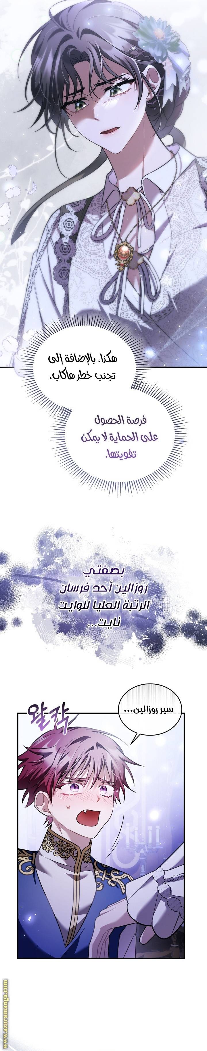 الصفحة 26