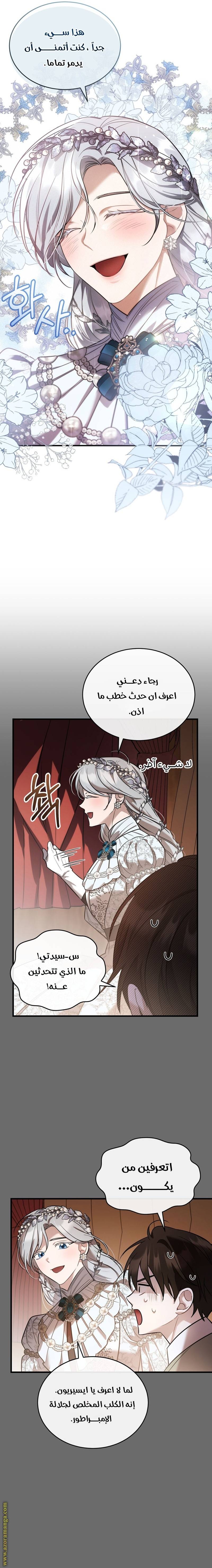 الصفحة 17