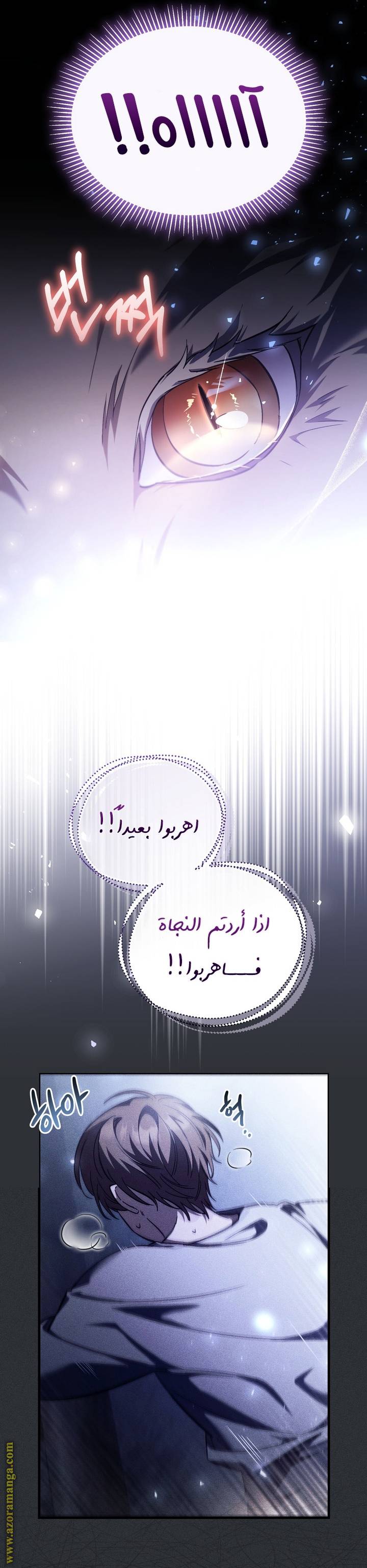 الصفحة 13