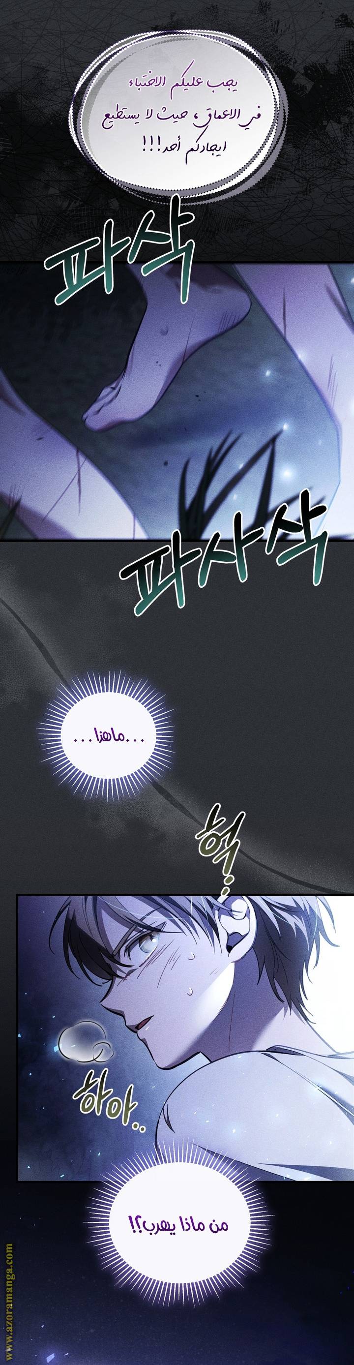 الصفحة 14