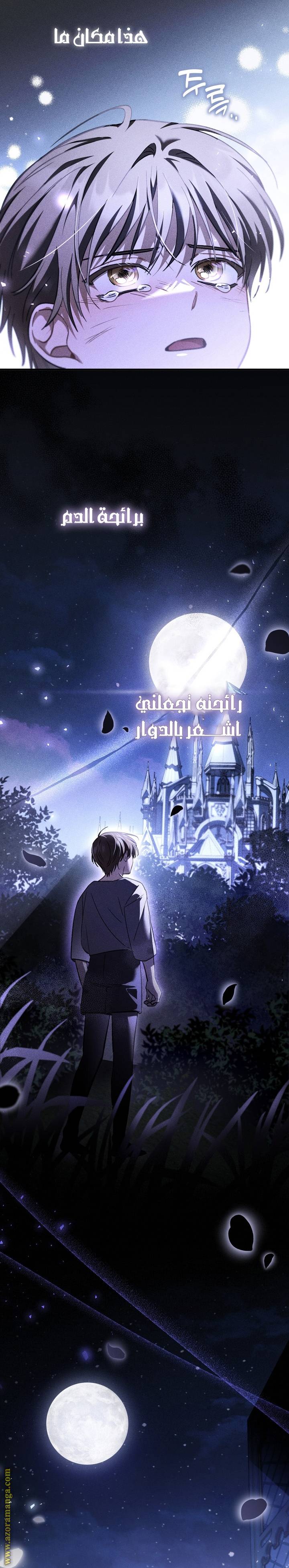الصفحة 16