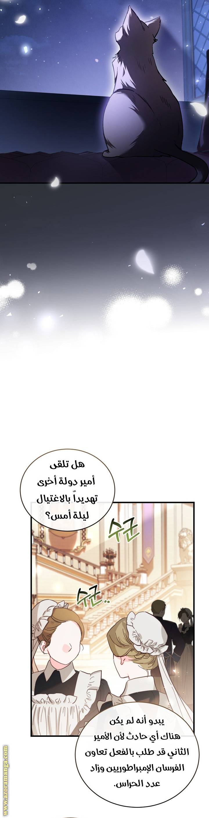 الصفحة 17