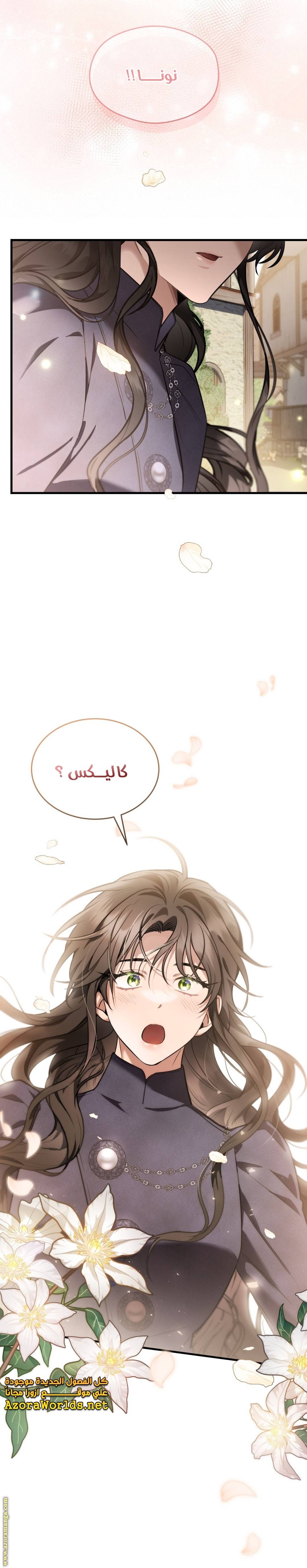 الصفحة 26