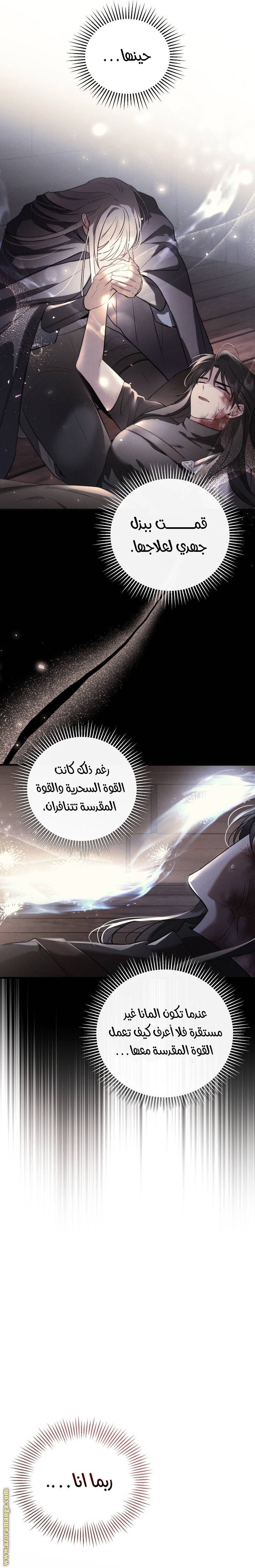 الصفحة 12