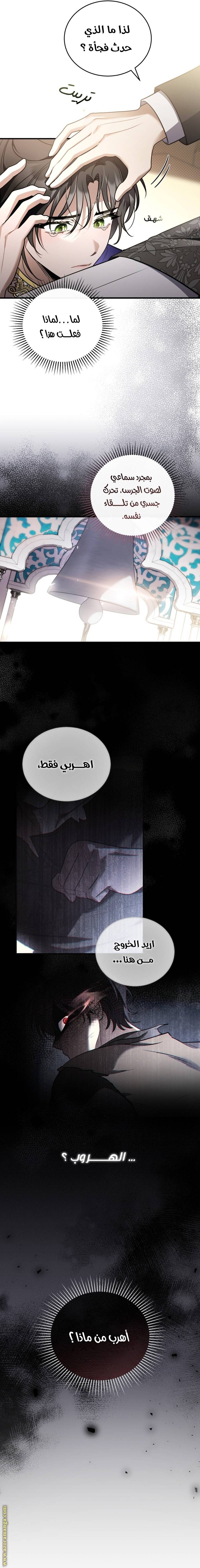 الصفحة 3