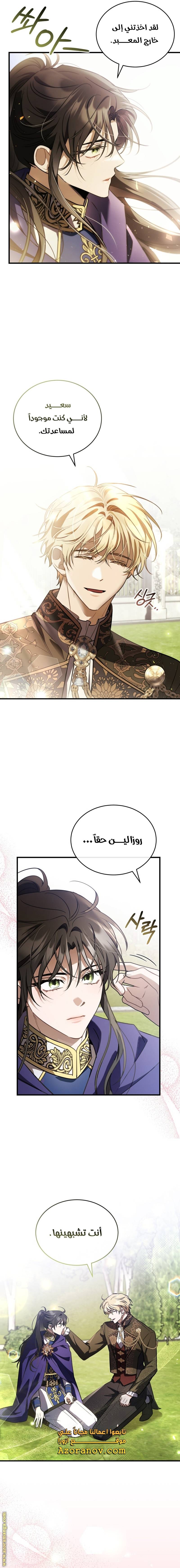الصفحة 17