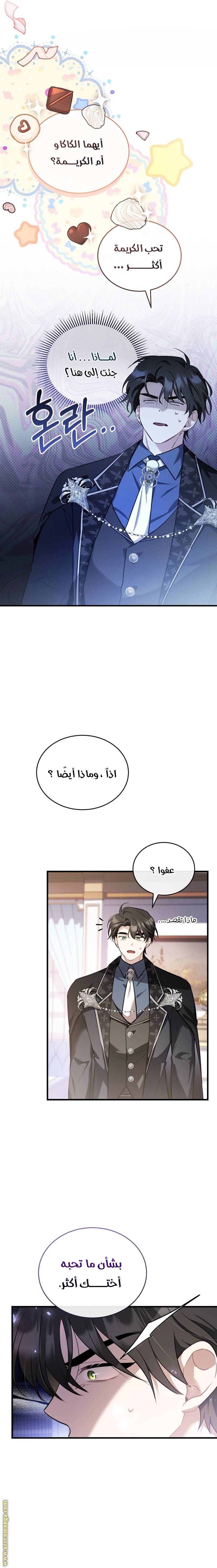 الصفحة 11
