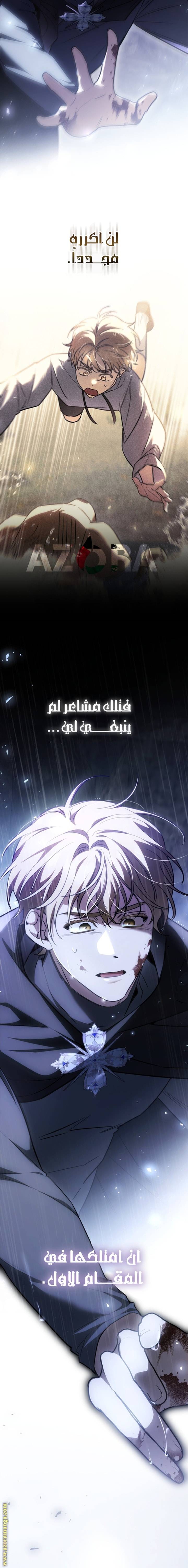 الصفحة 13