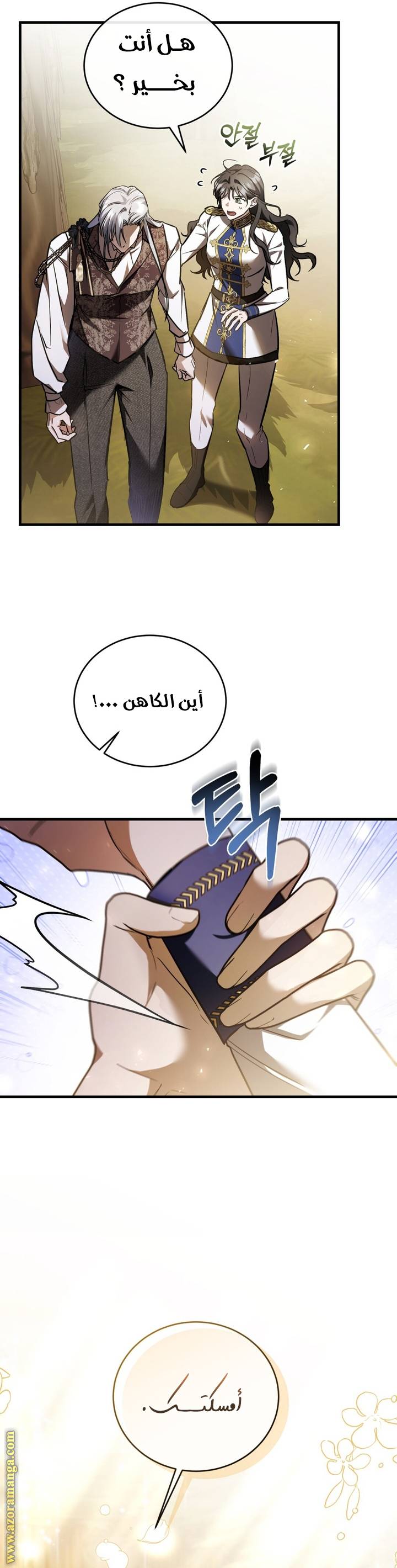 الصفحة 29