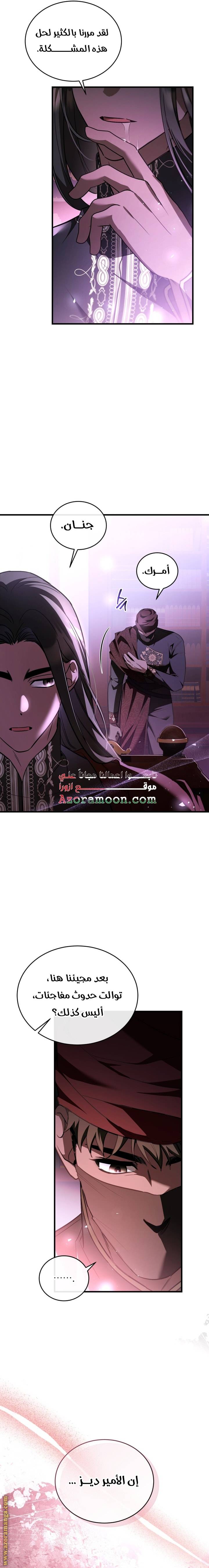 الصفحة 17