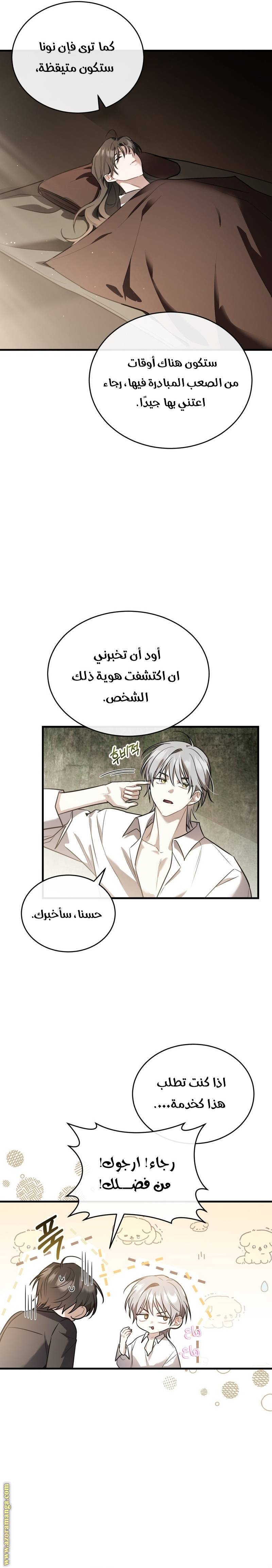 الصفحة 13