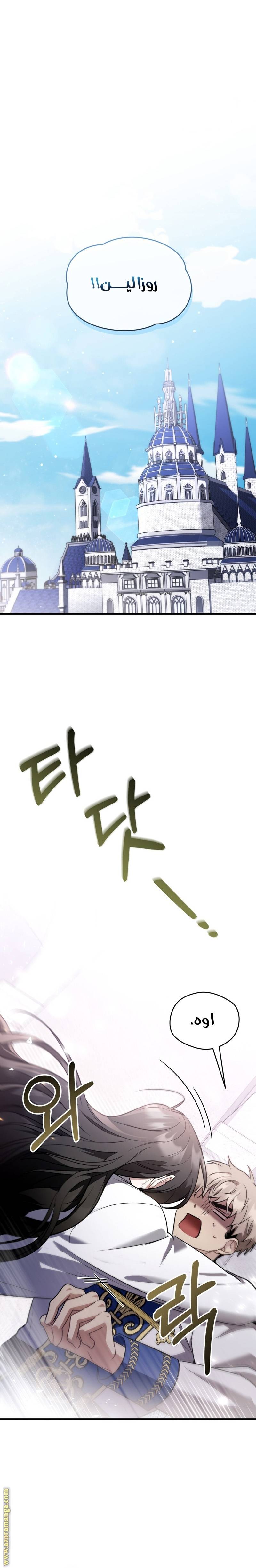 الصفحة 17