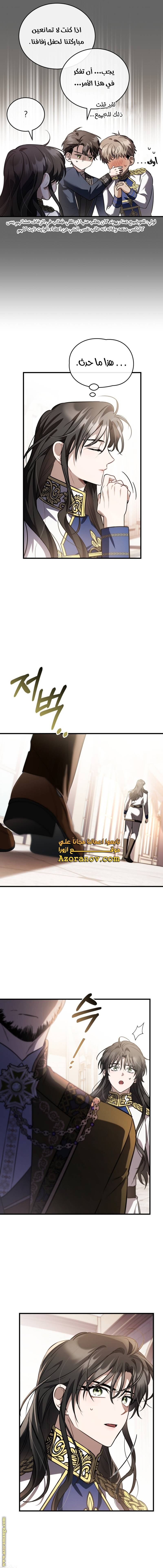 الصفحة 13